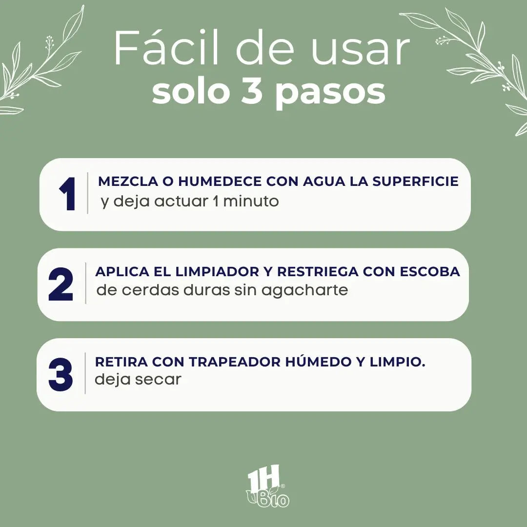 Encabezado